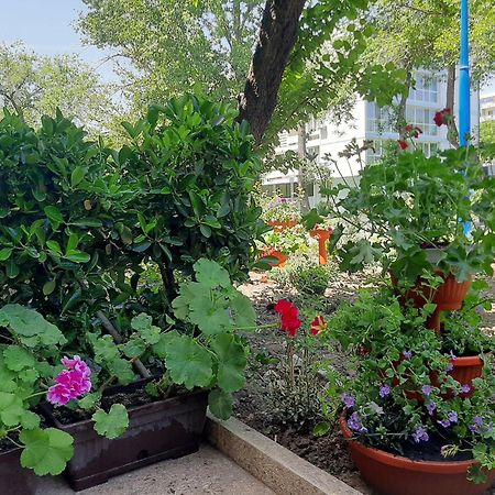 Hotel Pescarus Mamaia Ngoại thất bức ảnh